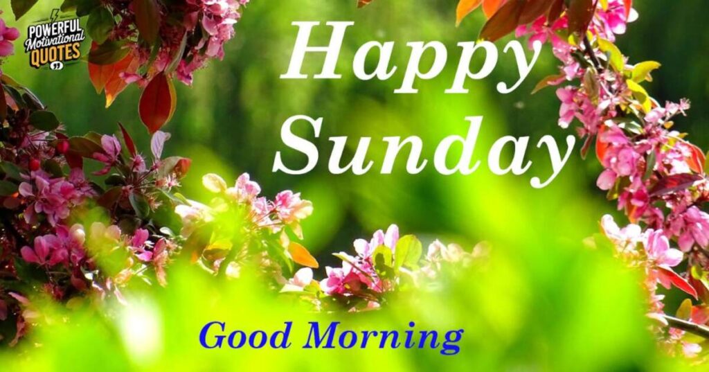 Happy Sunday Good Morning Images With Wishes