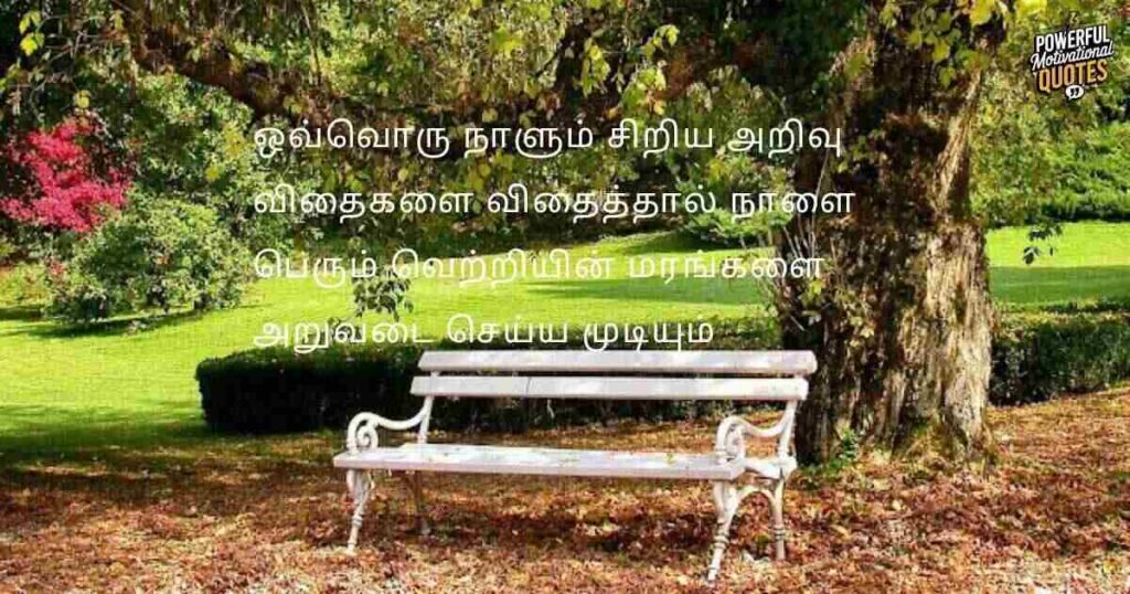 Inspiring Wisdom Quotes in Tamil for Everyday Life