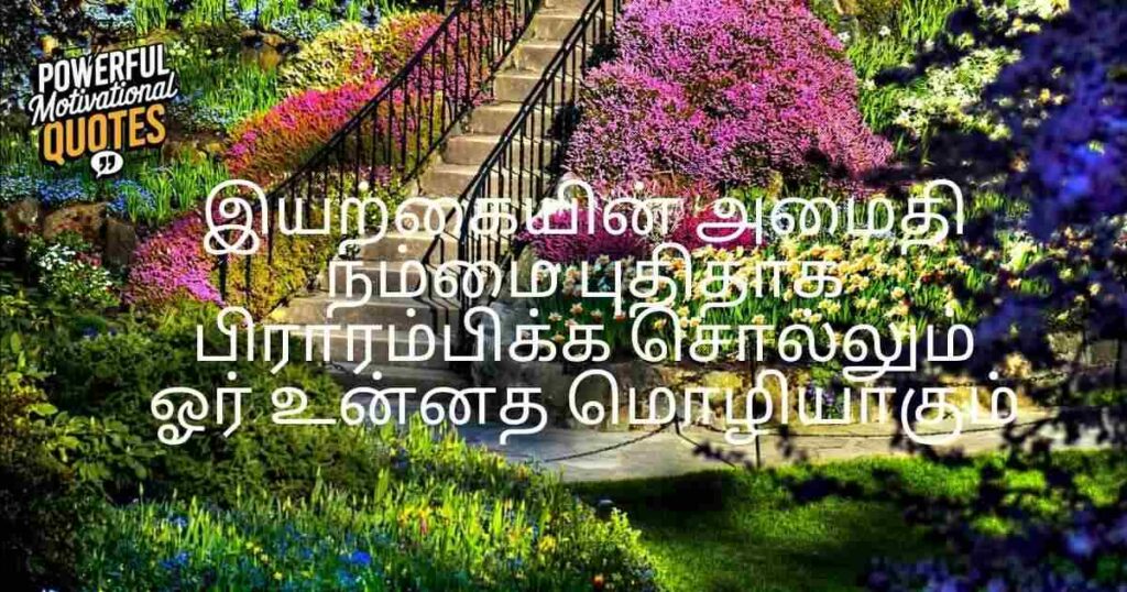 Quotes Celebrating the Spirit of Nature