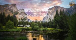 wisdom quotes