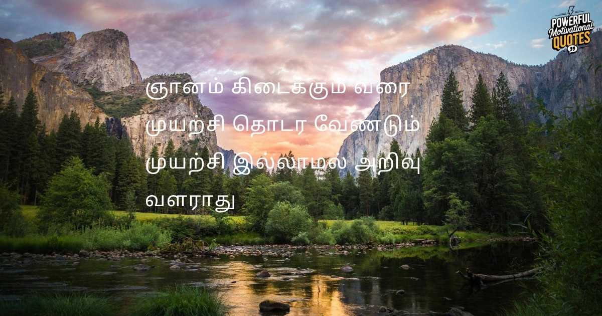 wisdom quotes