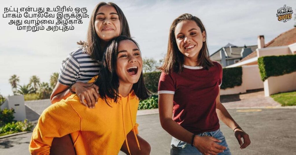 Timeless Friendship Quotes